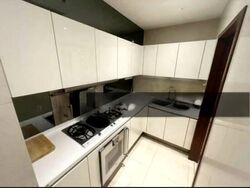 The Orchard Residences (D9), Apartment #563155381